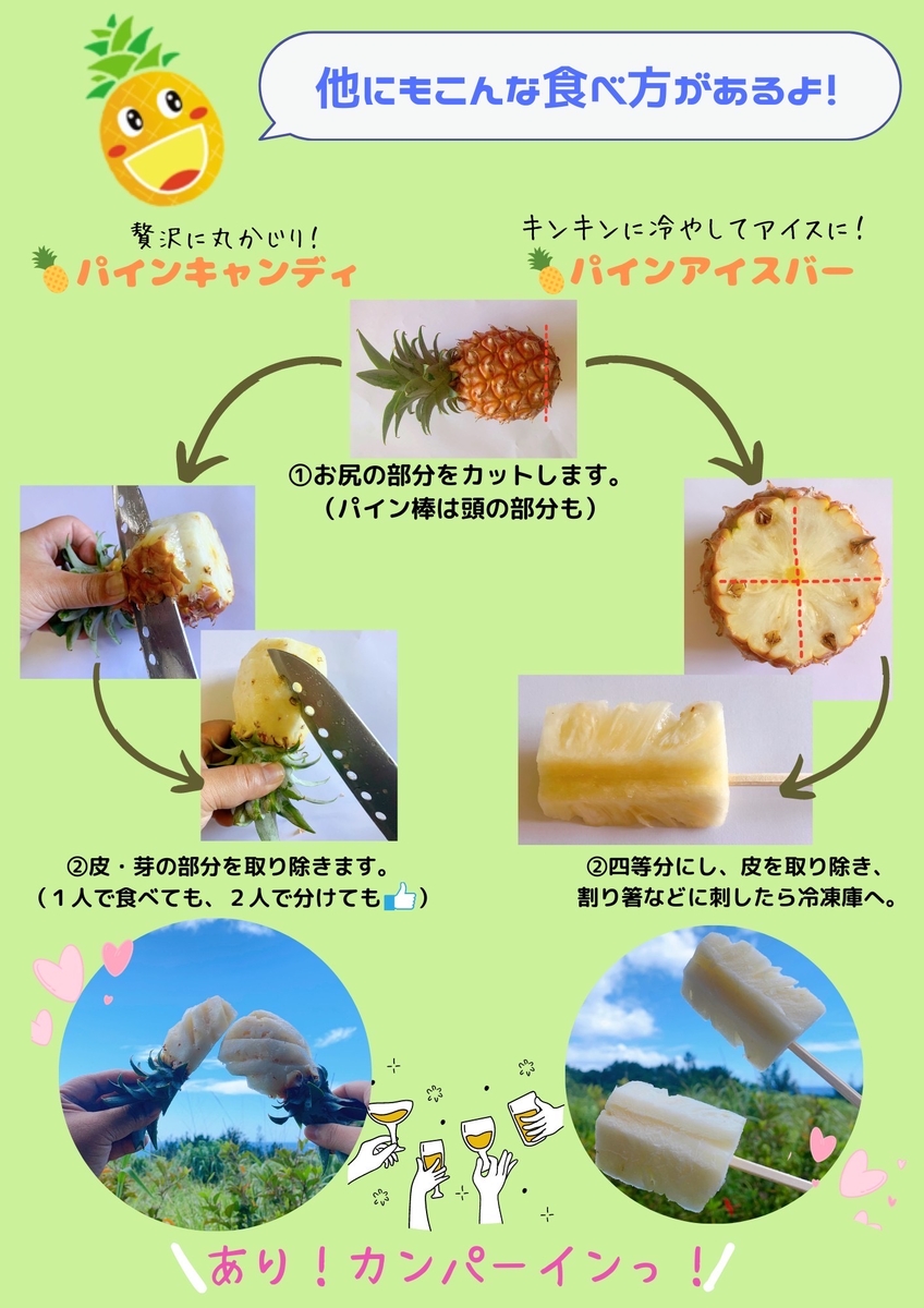 ミニピーチパイン12kg | アララガマ農園