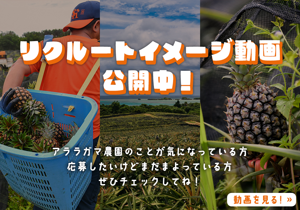 沖縄農園ページ 株式会社沖縄農園｜贈る人が誇れるお菓子創り