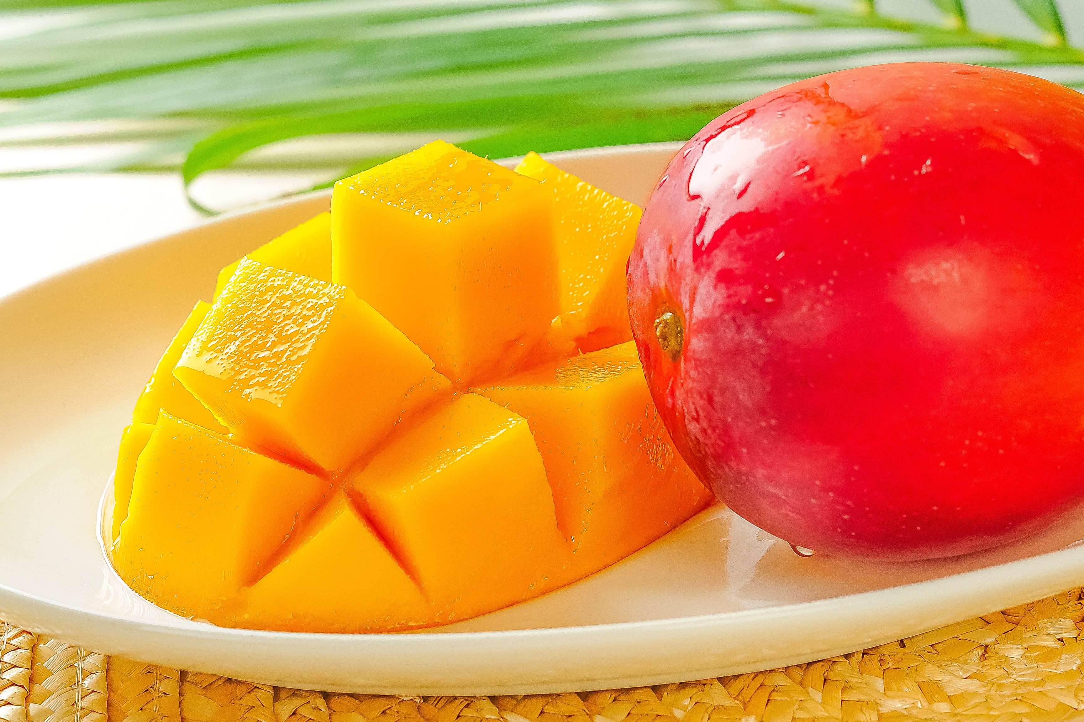 アップルマンゴー(特選) 2kg | アララガマ農園