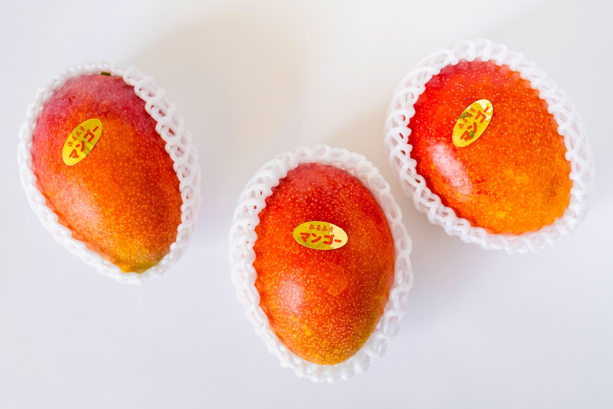 アップルマンゴー(秀品) 900g | アララガマ農園