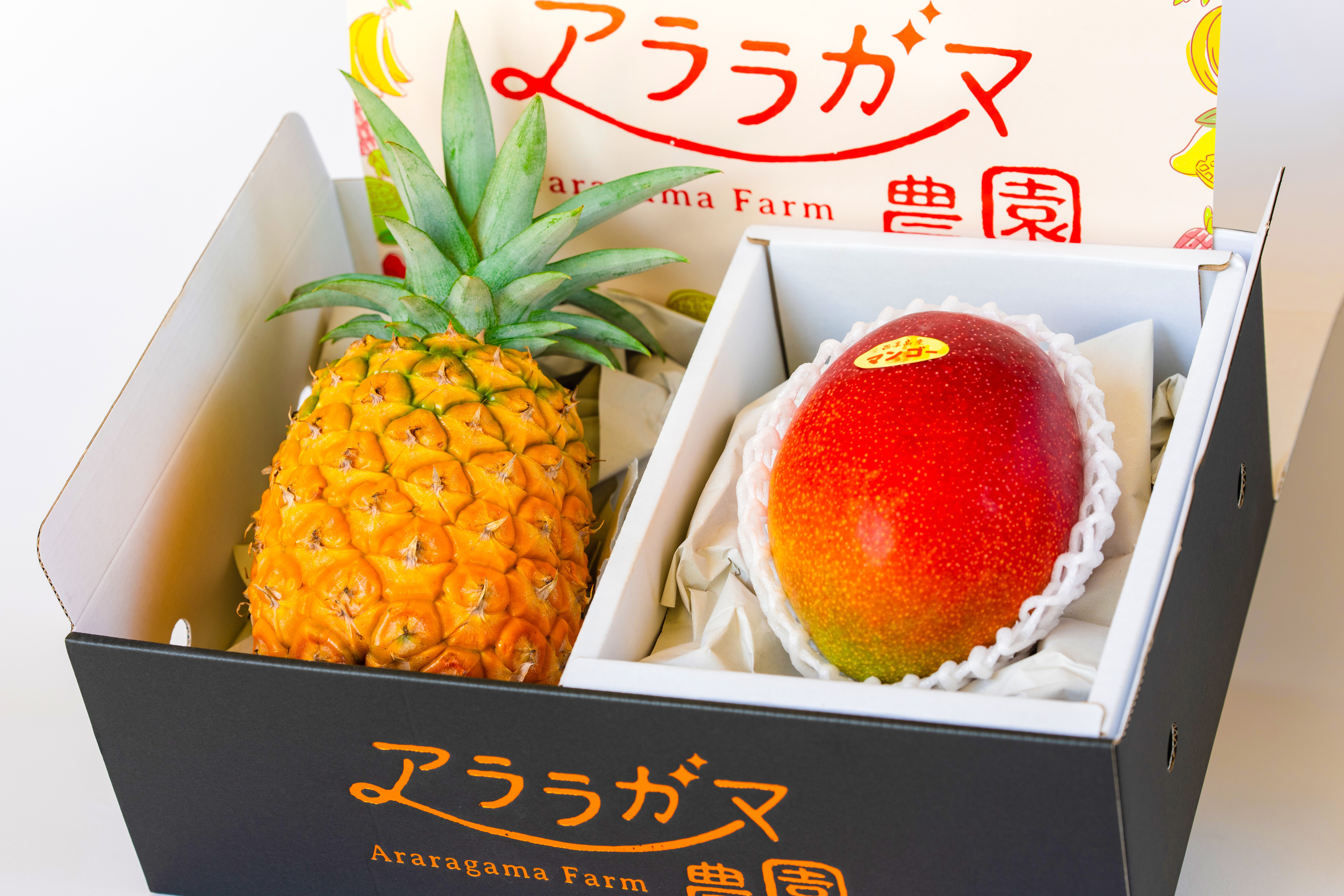 20220702-153652_色修正