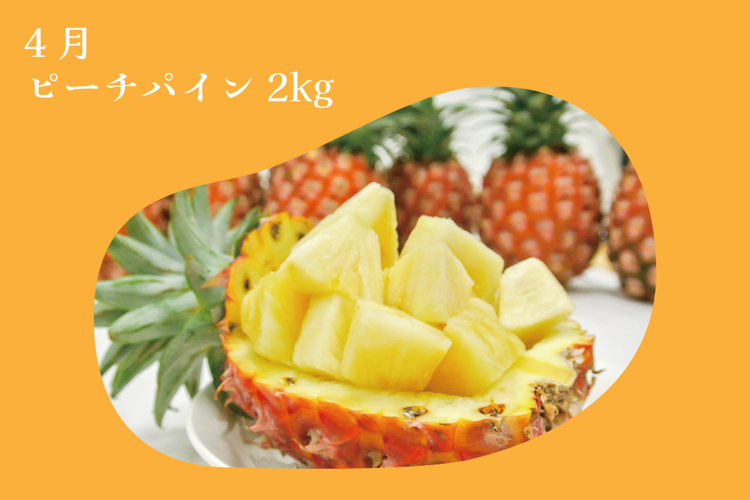 定期便① (送料込み) | アララガマ農園