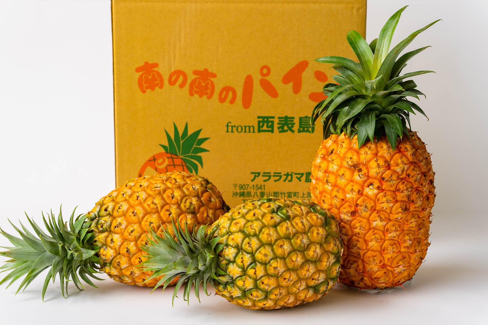 訳あり】ゴールドバレル2.5kg | アララガマ農園