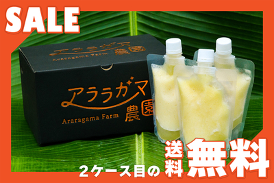 パインピューレ200ml 3本 × 2