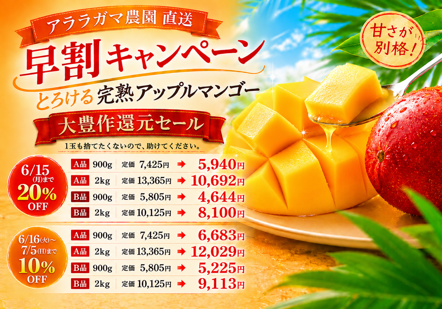 マンゴー大豊作SALE~6月15日までの購入で20%OFF