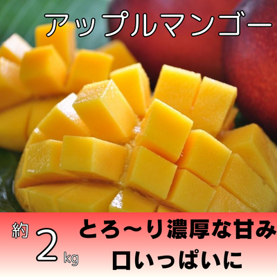 キーツマンゴー約1.8kg（2～3個入り） | 株式会社農園ファイミール