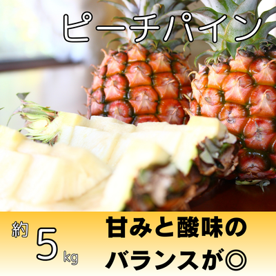 パイナップル | 株式会社農園ファイミール