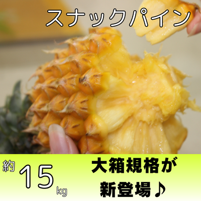 【ご自宅用】ピーチパイン 10キロ パイナップル | 株式会社農園ファイミール