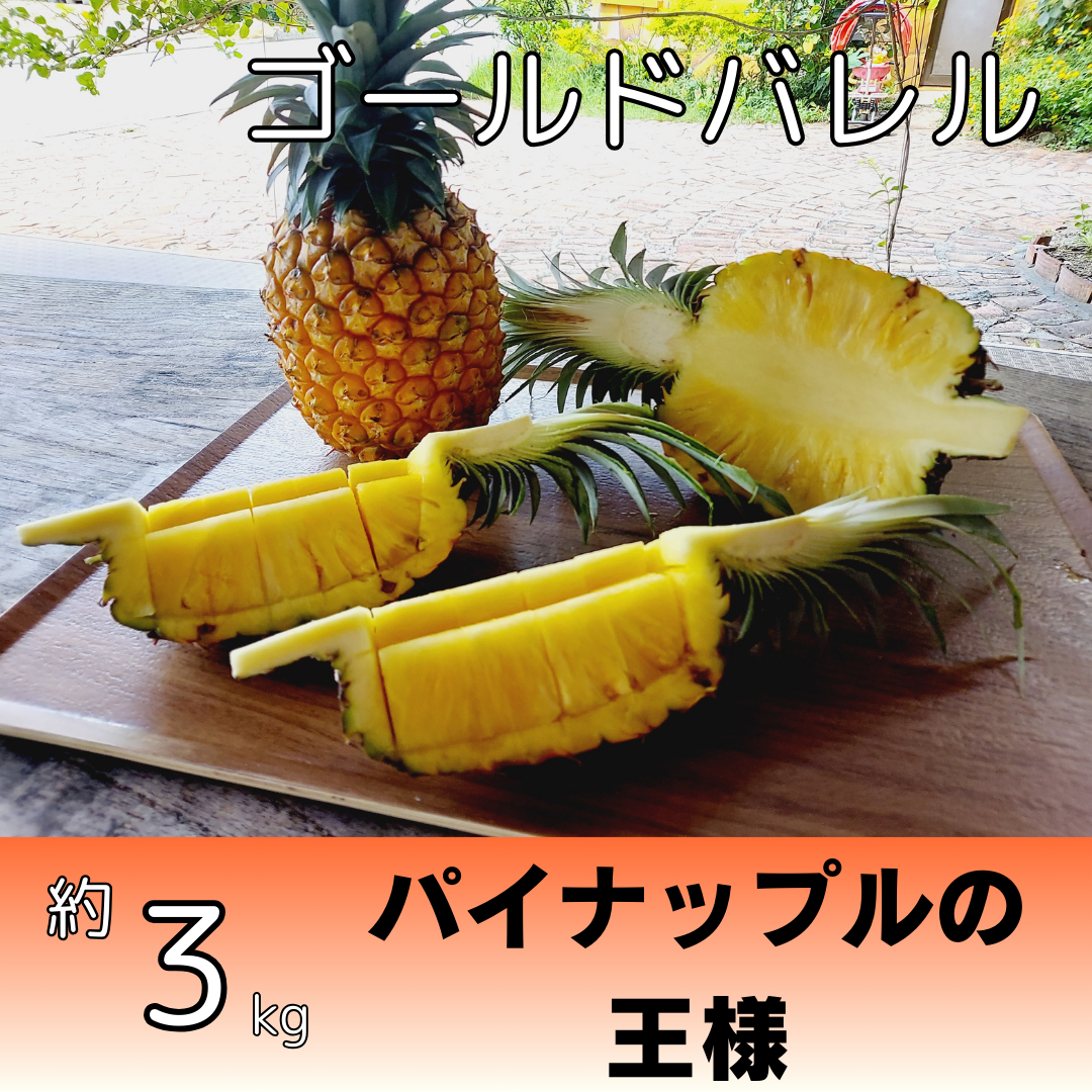 ゴールドバレル　農家直送　３個セット(7kg〜8kg) お買い得 早い者勝ち】完熟ゴールドバレル1玉(多冠芽)🍍2kg〜：沖縄県産の