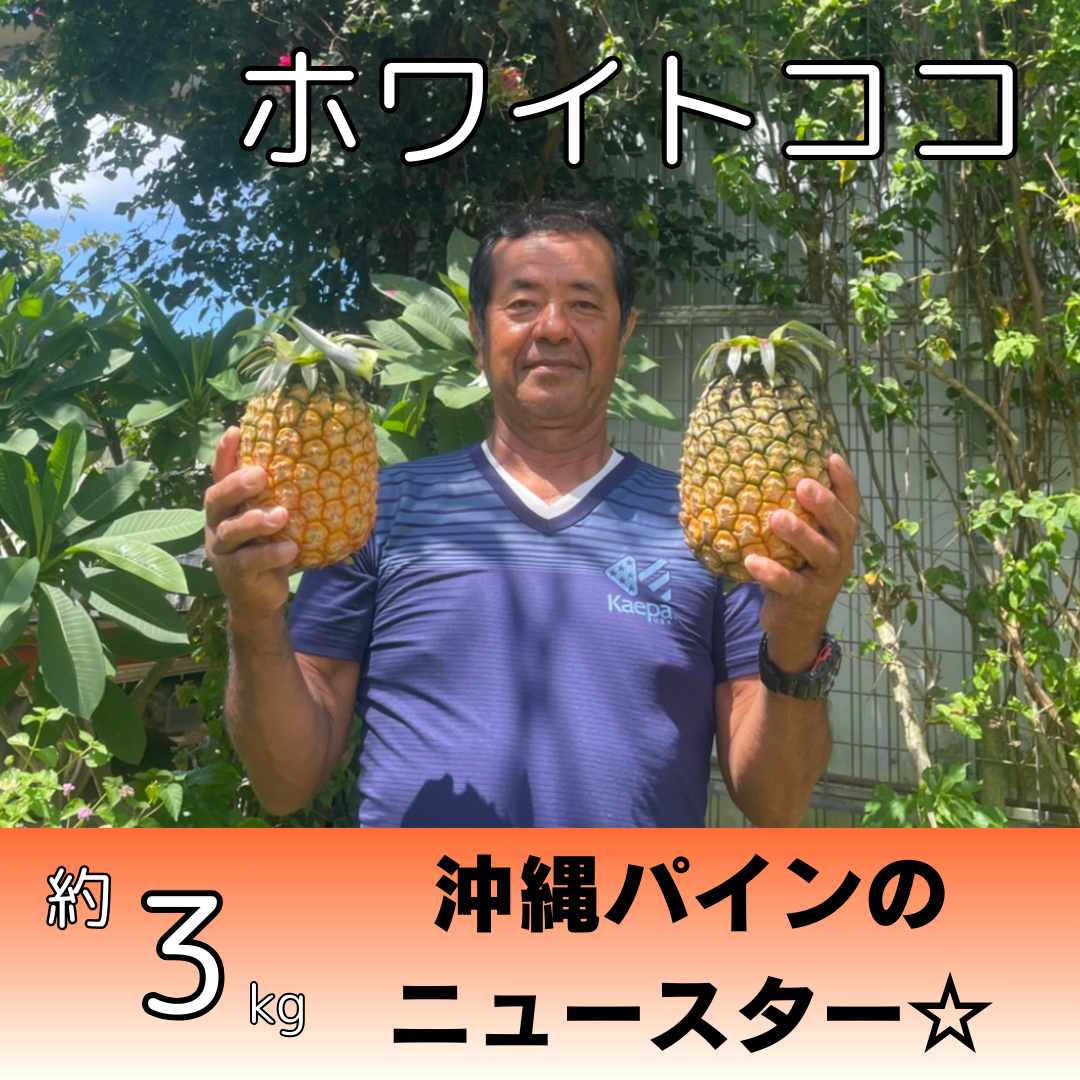 ホワイトココ約3kg（2～4個入り） | 株式会社農園ファイミール