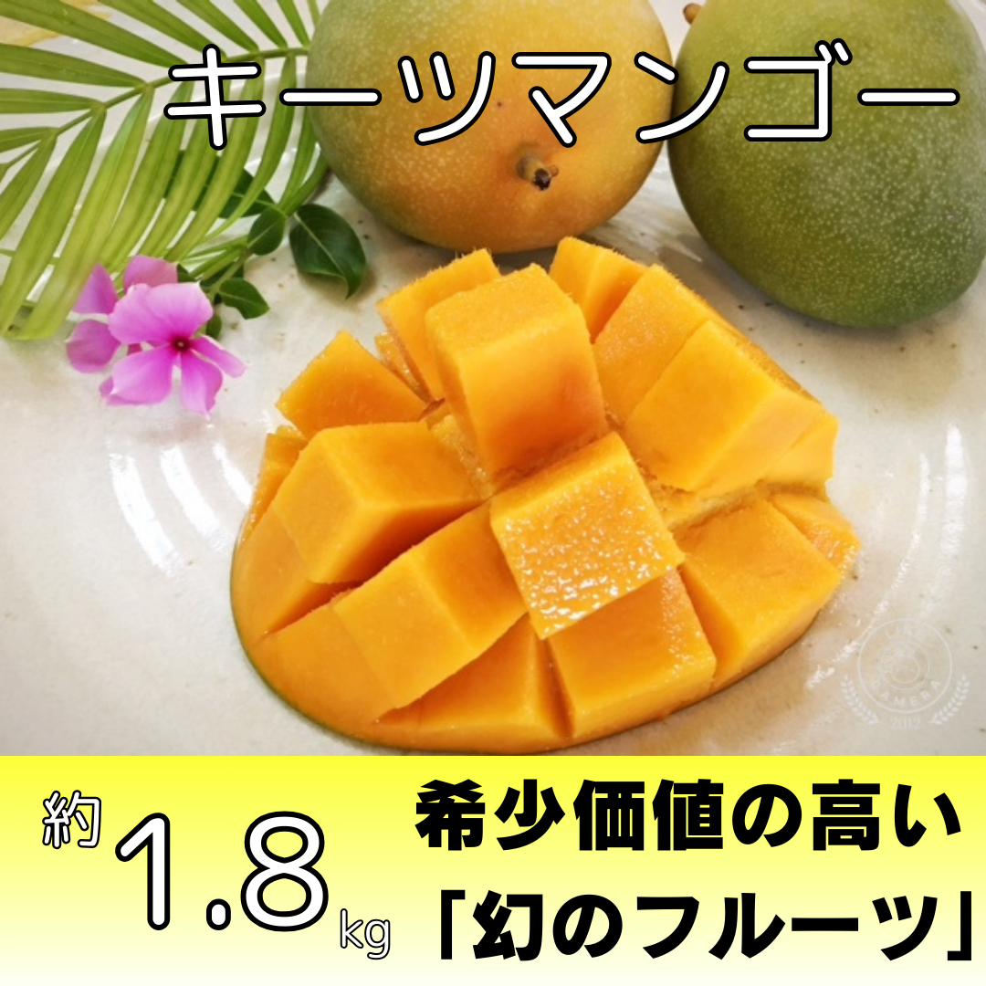 キーツマンゴー約1.8kg（2～3個入り） | 株式会社農園ファイミール
