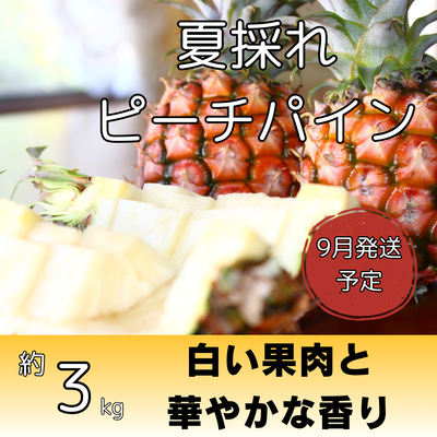 夏採れピーチパイン約3kg（4～7個入り）