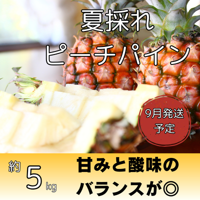 夏採れピーチパイン約5kg（7～10個入り）