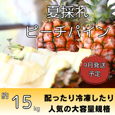 夏採れピーチパイン約15kg（20～30個入り）