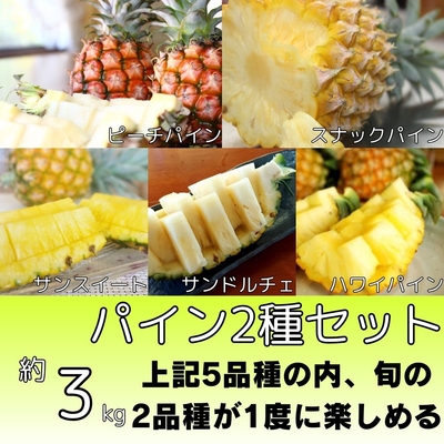 パイン2種セット約3kg（3～6個入り）
