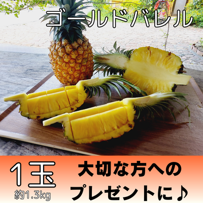 ゴールドバレル1個（約1.3kg）