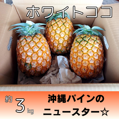 ホワイトココ約3kg（2～4個入り）