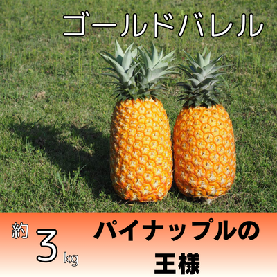 ゴールドバレル約3kg（2～4個入り）