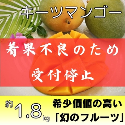 キーツマンゴー約1.8kg（2～3個入り）