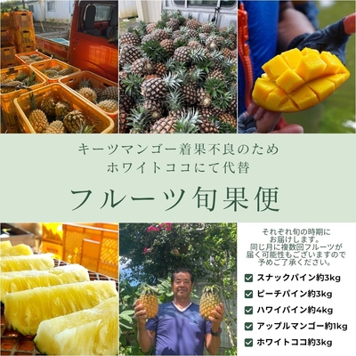 【代替】フルーツ旬果便