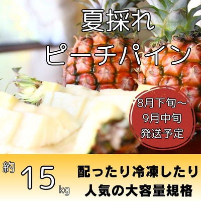 夏採れピーチパイン約15kg（20～30個入り）