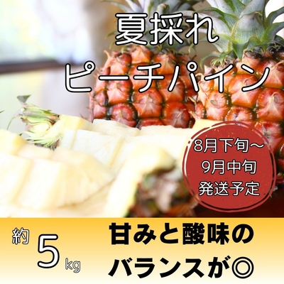 夏採れピーチパイン約5kg（7～10個入り）