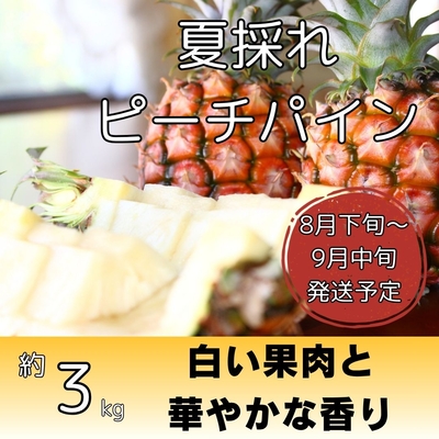 夏採れピーチパイン約3kg（4～7個入り）