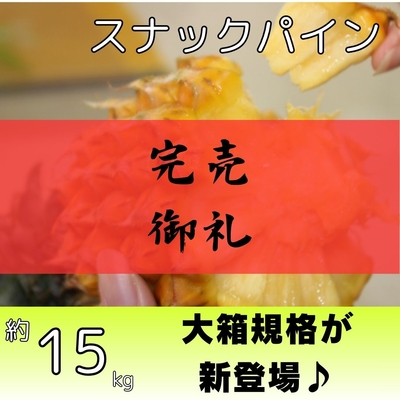 スナックパイン約15kg（15～24個入り）