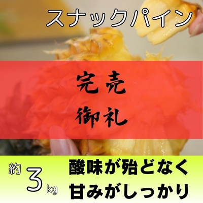 スナックパイン約3kg（3～6個入り）