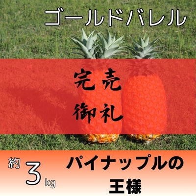ゴールドバレル約3kg（2～4個入り）