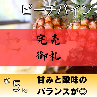 ピーチパイン約5kg（5～8個入り）