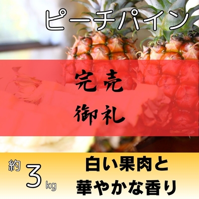 ピーチパイン約3kg（3～6個入り）
