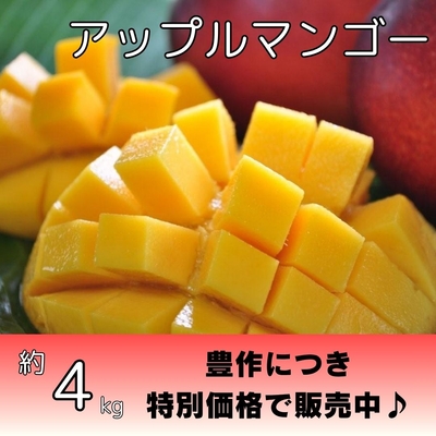マンゴー | 株式会社農園ファイミール