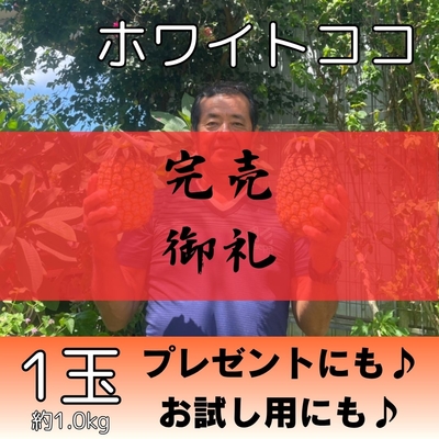ホワイトココ1個（約1.0kg）
