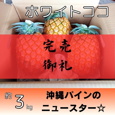 ホワイトココ約3kg（2～4個入り）