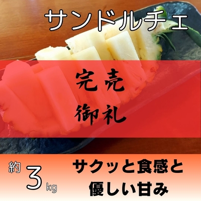 サンドルチェ約3kg（2～4個入り）