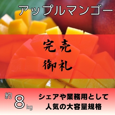 アップルマンゴー約8kg（16～20個入り）