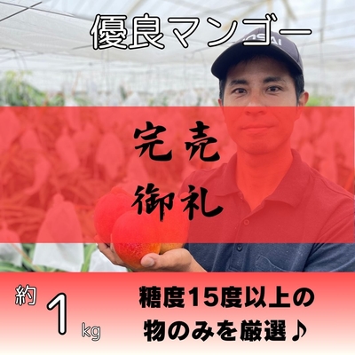 糖度保証優良マンゴー約1kg（2～3個入り）