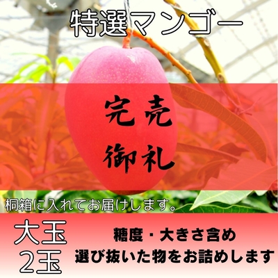 桐箱入り特選マンゴー