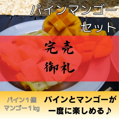 パイン4個・マンゴー1kg（2～3個入り）