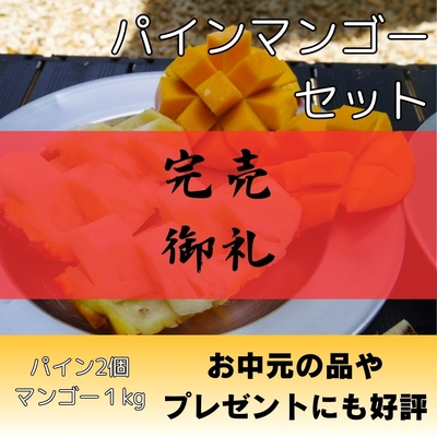 パイン2個・マンゴー1kg（2～3個入り）
