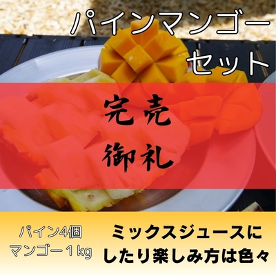パイン1個・マンゴー1kg（2～3個入り）