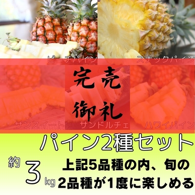 パイン2種セット約3kg（3～6個入り）