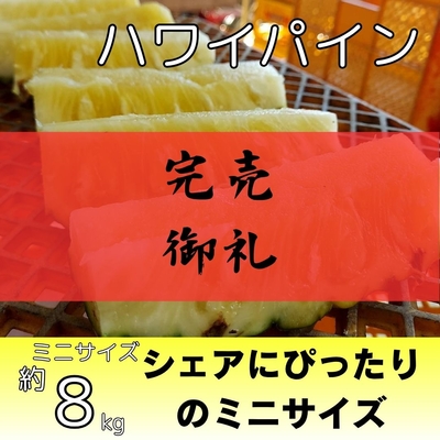 ミニハワイパイン約8kg（10～15個入り）