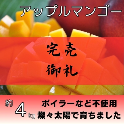 アップルマンゴー約4kg（8～12個入り）