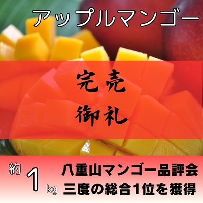 アップルマンゴー約1kg（2～3個入り）