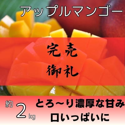 アップルマンゴー約2kg（4～6個入り）