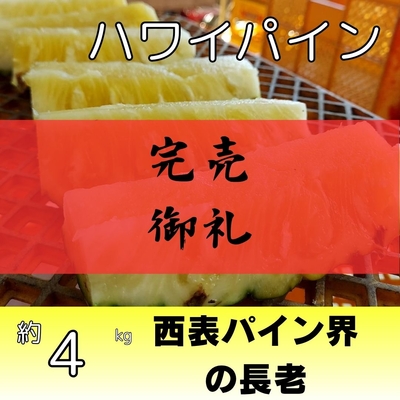 ハワイパイン約4kg（3～4個入り）