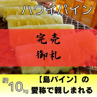 ハワイパイン約10kg（10～15個入り）