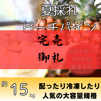 夏採れピーチパイン約15kg（20～30個入り）